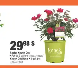 Home Depot Knock Out Rose offer