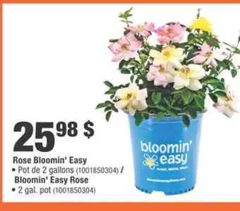 Home Depot Bloomin' Easy Rose offer