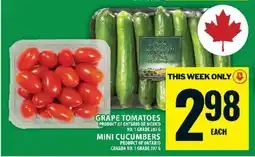 Food Basics Grape Tomatoes / Mini Cucumbers offer