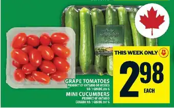 Food Basics Grape Tomatoes / Mini Cucumbers offer