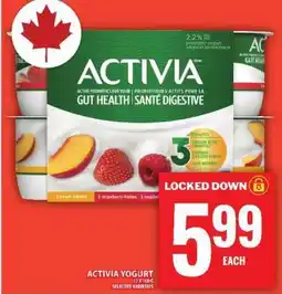 Food Basics Activia Yogurt offer