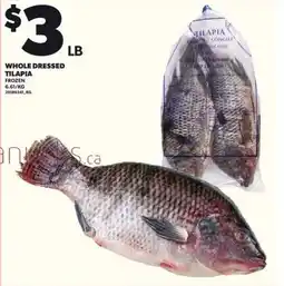 Loblaws Whole dressed tilapia offer