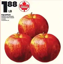 Loblaws Fuji Apples offer