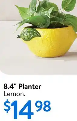 Walmart 8.4 Planter offer