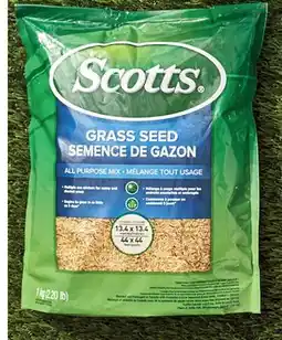 Walmart Scotts All-Purpose Grass Seed offer