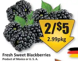 Starsky Fresh Sweet Blackberries offer