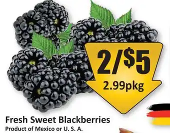 Starsky Fresh Sweet Blackberries offer