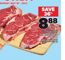 Independent City Market BONE-IN STRIPLOIN GRILLING STEAK offer