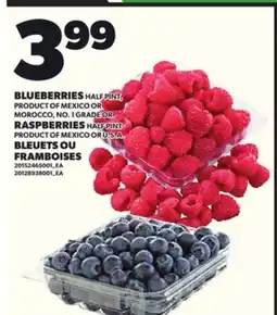 Independent City Market BLUEBERRIES HALF PINT, OR RASPBERRIES HALF PINT offer