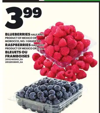 Independent City Market BLUEBERRIES HALF PINT, OR RASPBERRIES HALF PINT offer