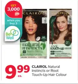 Rexall CLAIROL Natural Instincts or Root Touch-Up Hair Colour offer