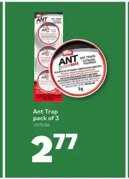 Matériaux Pont Masson 3 Pack Ant Trap offer