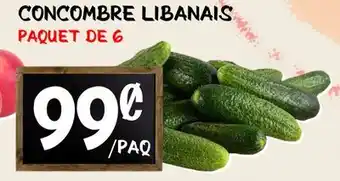Marche Salaberry CONCOMBRE LIBANAIS offer