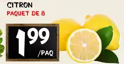 Marche Salaberry CITRON offer