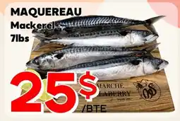 Marche Salaberry MAQUEREAU offer
