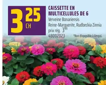 Gagnon - La Grande Quincaillerie CAISSETTE EN MULTICELLULES DE 6 offer