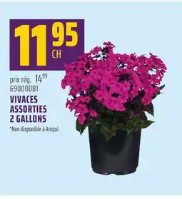 Gagnon - La Grande Quincaillerie VIVACES ASSORTIES 2 GALLONS offer