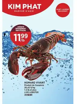 Kim Phat LIVE LOBSTER offer