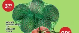 Kim Phat AVOCADOS offer