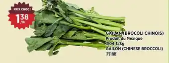 Kim Phat GAILON (CHINESE BROCCOLI) offer