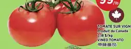 Kim Phat VINED TOMATO offer