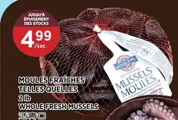 Kim Phat WHOLE FRESH MUSSELS offer