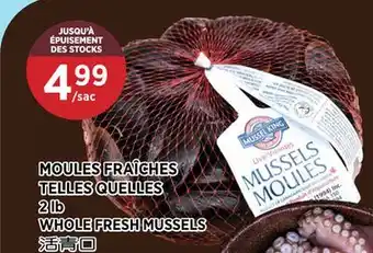 Kim Phat WHOLE FRESH MUSSELS offer