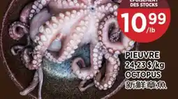 Kim Phat OCTOPUS offer