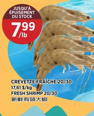 Kim Phat FRESH SHRIMP 20/30 offer