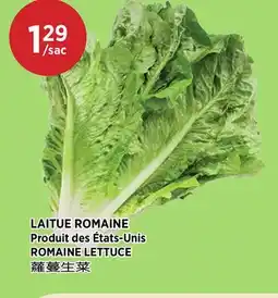 Kim Phat ROMAINE LETTUCE offer