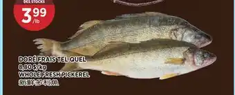 Kim Phat WHOLE FRESH PICKEREL offer
