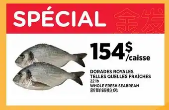Kim Phat WHOLE FRESH SEABREAM offer