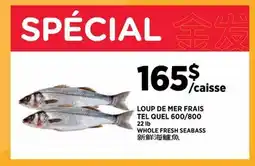 Kim Phat WHOLE FRESH SEABASS 600/800 offer