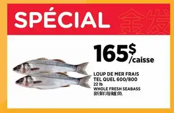 Kim Phat WHOLE FRESH SEABASS 600/800 offer
