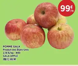 Kim Phat GALA APPLE offer