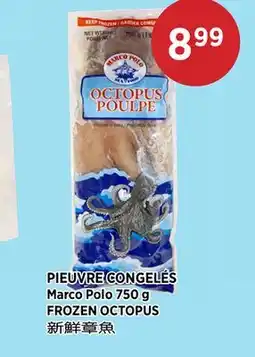 Kim Phat Marco Polo FROZEN OCTOPUS offer