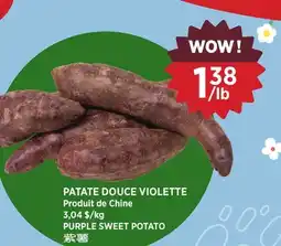 Kim Phat PURPLE SWEET POTATO offer