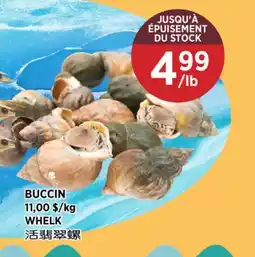 Kim Phat WHELK offer