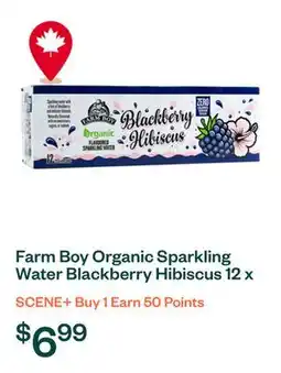 Voilà Farm Boy Organic Sparkling Water Blackberry Hibiscus 12 x 355 ml offer