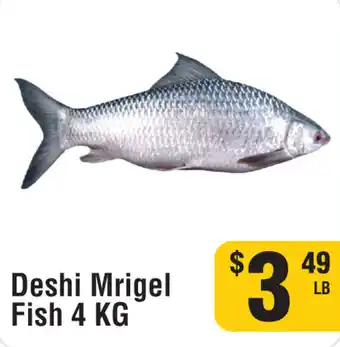 Iqbal Foods Deshi Mrigel Fish offer