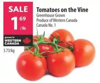 Co-op Tomatoes on the Vine offer