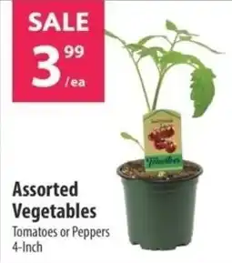 Co-op Assorted Vegetables Tomatoes or Peppers offer