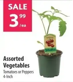 Co-op Assorted Vegetables Tomatoes or Peppers offer