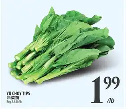 Al Premium Food Mart Yu choy tips offer