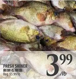 Al Premium Food Mart Fresh shiner offer