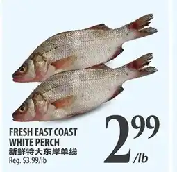 Al Premium Food Mart Fresh east coast white perch offer