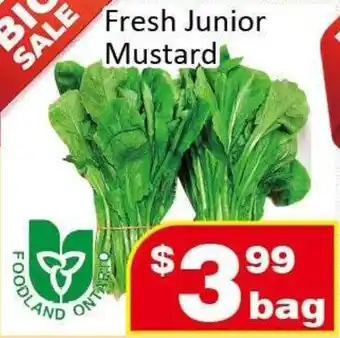 Jian Hing Supermarket Fresh Junior Mustard offer