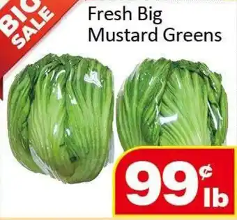 Jian Hing Supermarket Fresh Big Mustard Greens offer