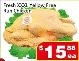 Jian Hing Supermarket Fresh XXXL Yellow Free Run Chicken offer