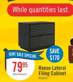 The Brick Reese 24 Modern 2-Drawer Cabinet - Black offer